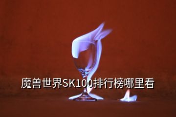 魔兽世界SK100排行榜哪里看