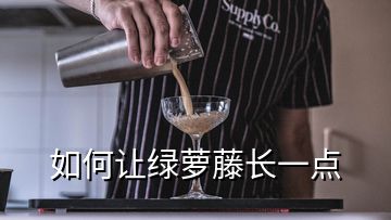 如何让绿萝藤长一点