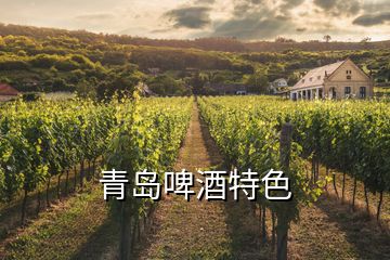 青岛啤酒特色