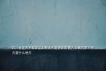 四川省宜宾市翠屏区五粮液大道酒源路 图片上面的那个地方是什么地方