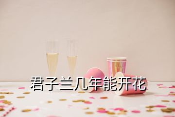 君子兰几年能开花