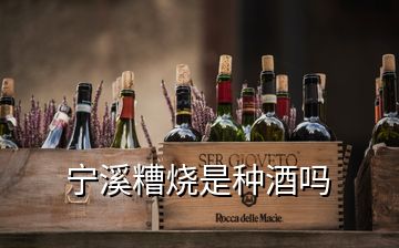 宁溪糟烧是种酒吗