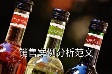 销售案例分析范文