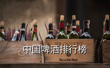 中国啤酒排行榜