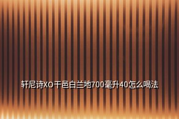 轩尼诗XO干邑白兰地700毫升40怎么喝法