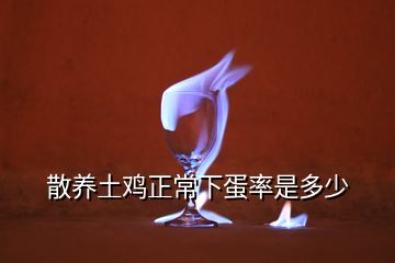 散养土鸡正常下蛋率是多少