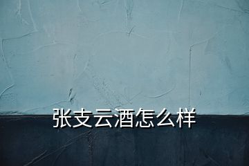 张支云酒怎么样