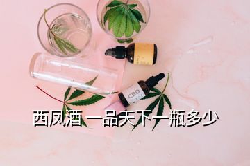 西凤酒 一品天下一瓶多少