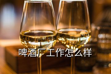 啤酒厂工作怎么样