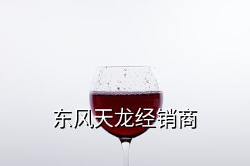 东风天龙经销商