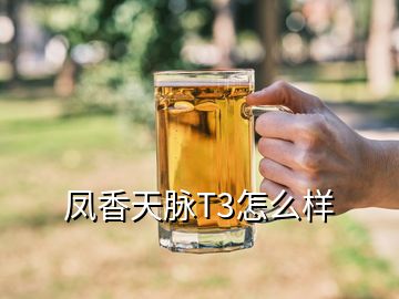 凤香天脉T3怎么样