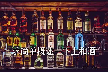 求简单概述一下上和酒