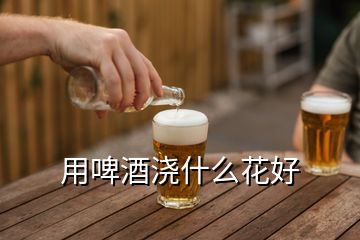 用啤酒浇什么花好