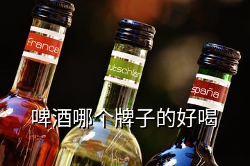 啤酒哪个牌子的好喝