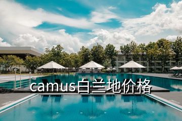 camus白兰地价格