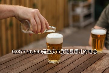 02377702999是重庆市武隆县哪儿的电话