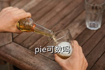 pie可数吗