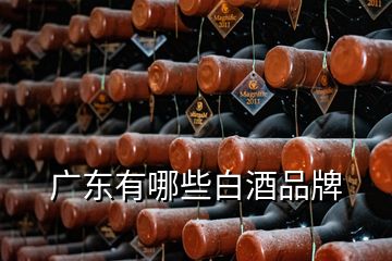 广东有哪些白酒品牌