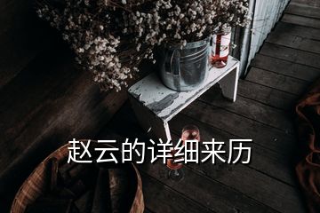 赵云的详细来历