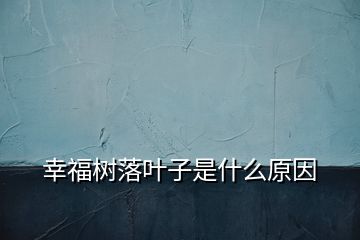 幸福树落叶子是什么原因