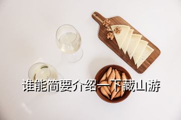 谁能简要介绍一下藏山游