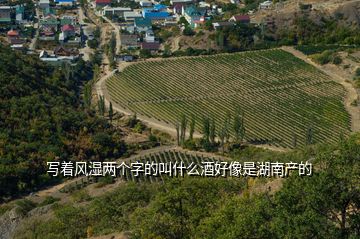 写着风湿两个字的叫什么酒好像是湖南产的