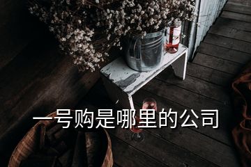 一号购是哪里的公司