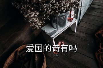 爱国的诗有吗