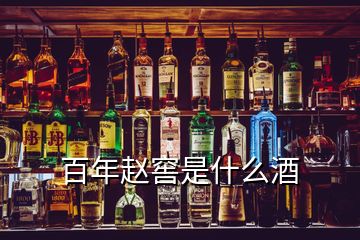 百年赵窖是什么酒