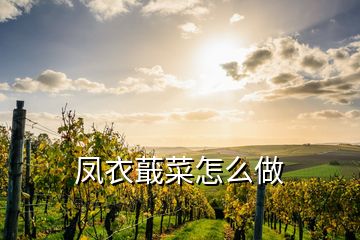 凤衣蕺菜怎么做