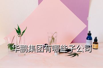 华鹏集团有哪些子公司