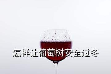 怎样让葡萄树安全过冬