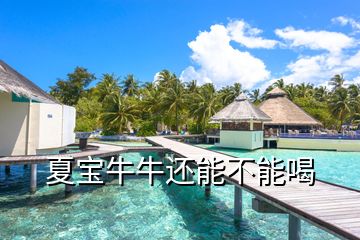 夏宝牛牛还能不能喝