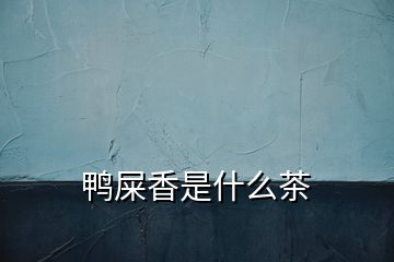 鸭屎香是什么茶