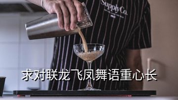 求对联龙飞凤舞语重心长