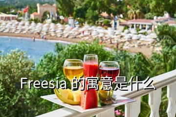 Freesia 的寓意是什么