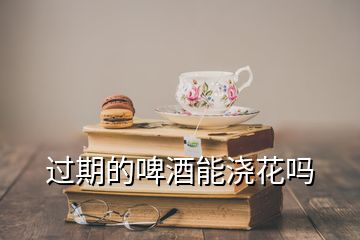 过期的啤酒能浇花吗