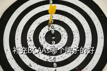 补充BCAAs哪个牌子的好