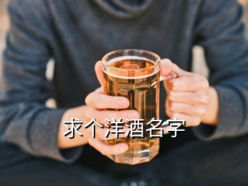 求个洋酒名字