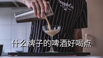 什么牌子的啤酒好喝点