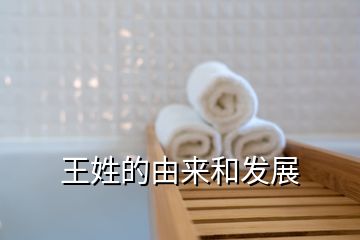 王姓的由来和发展