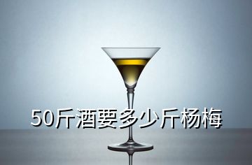 50斤酒要多少斤杨梅