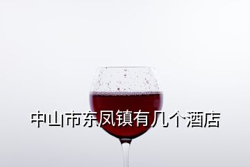 中山市东凤镇有几个酒店