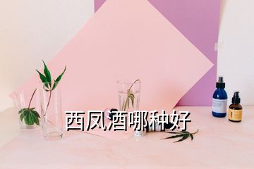 西凤酒哪种好