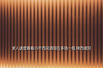 求人速度看看15年西凤酒现在多钱一瓶 陕西咸阳