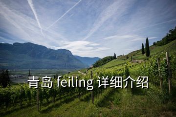 青岛 feiling 详细介绍