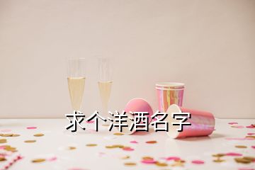 求个洋酒名字