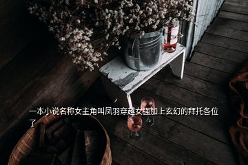 一本小说名称女主角叫凤羽穿越女强加上玄幻的拜托各位了