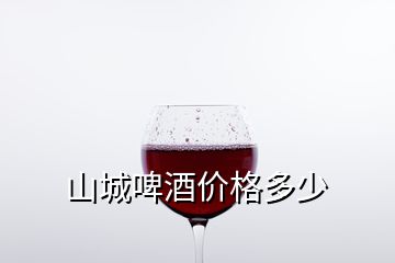 山城啤酒价格多少