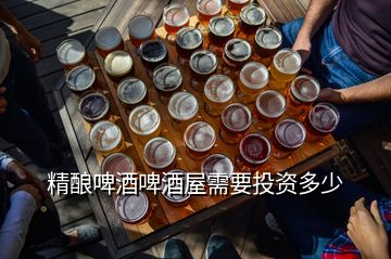 精酿啤酒啤酒屋需要投资多少